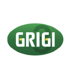 Gruppo Grigi
