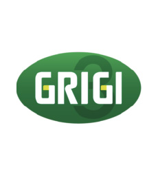 Gruppo Grigi